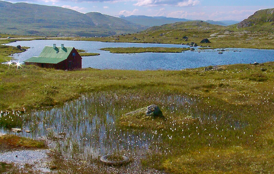 Hardangervidda National Park, Central Southern Norway, Norway